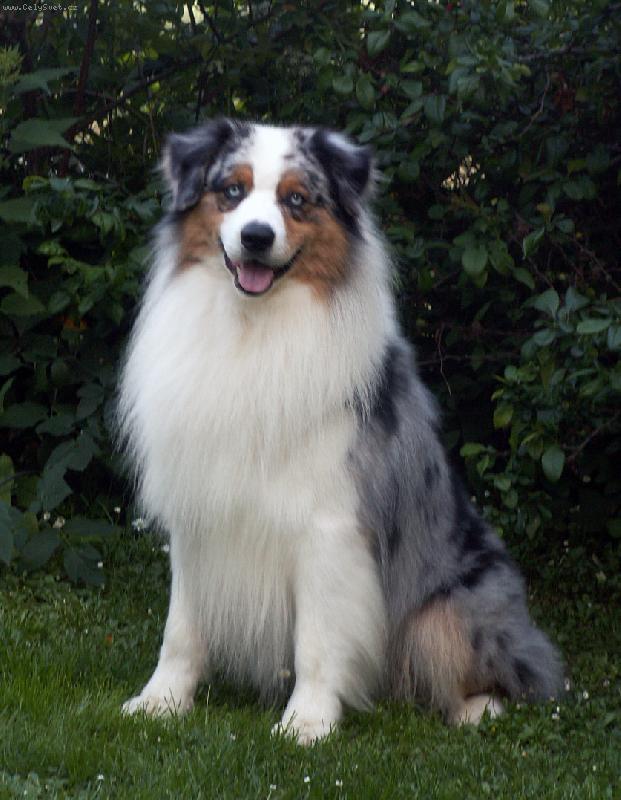 Foto: Rock-Ch.Sunshine Shanti Shallow Rivers