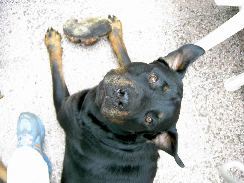 Foto: Din-\"co to?\" :))