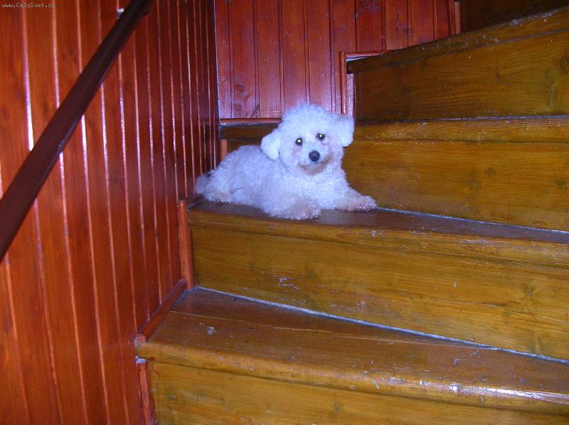 Foto: Vendulka na schodech-kuk!