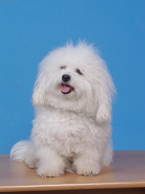 Foto: Jsem hv�zda-H�don� Vala�sk� hory