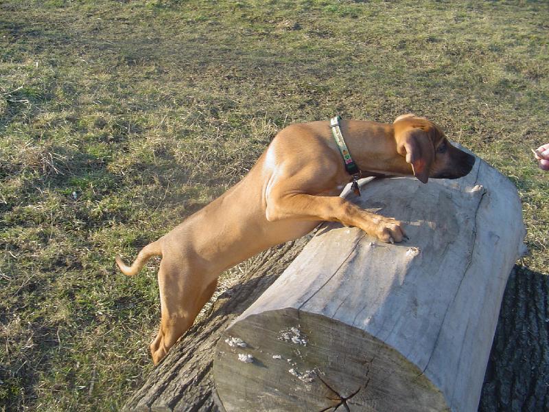 Foto: Na cvicisti-4 mesice