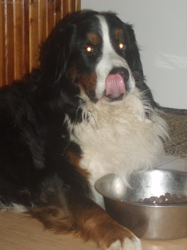 Foto: m�amky-m�aaam