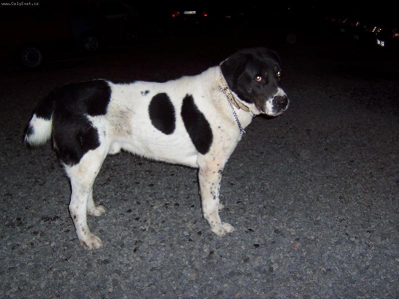 Foto: Emir Chan z Pr��elsk� rokle