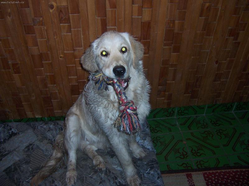 Foto: Kr�sn� �ist�