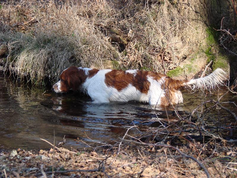 Foto: vodn� stopa-IRWS