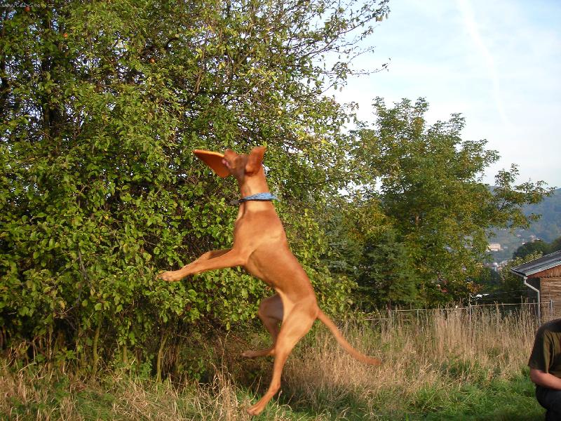 Foto: Nely z D���na-nic mi neute�e