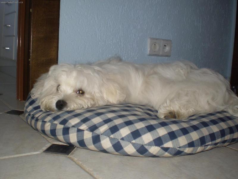 Foto: Spink�m-Mont�k