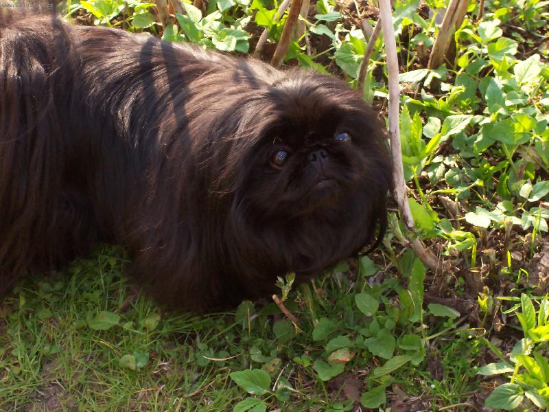 Foto: Megynka-J� se tak r�da fot�m\\.