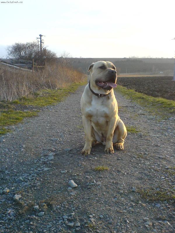 Foto: RONY-11 m�s�c�