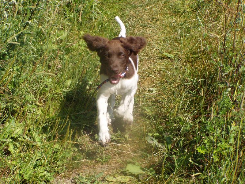 Foto: Hera z Vlasteck�ho vrchu