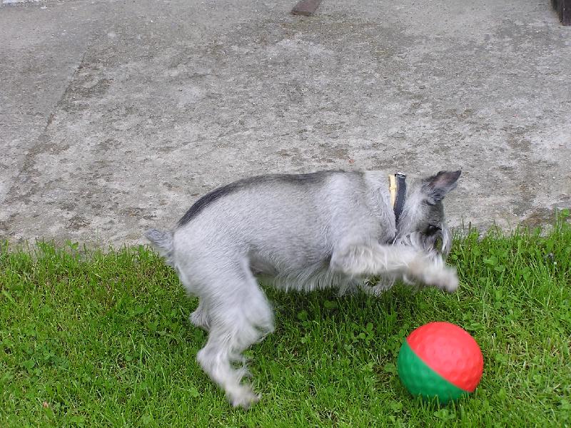 Foto: VIKI-\\.\\.\\.z t� koule nevypadl \\.\\.\\.