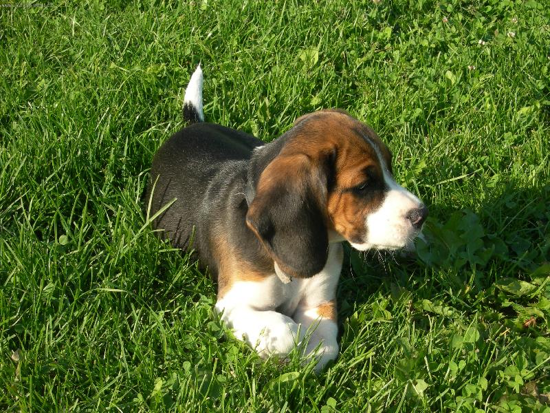 Foto: Bonny-Okukuji okol�\\.