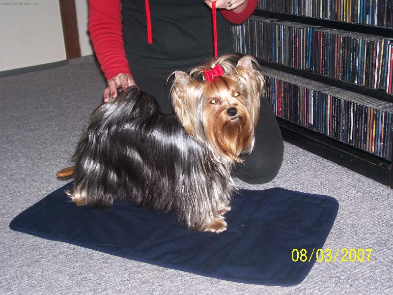 Foto: Bessy-www.jork-bessy.estranky.cz