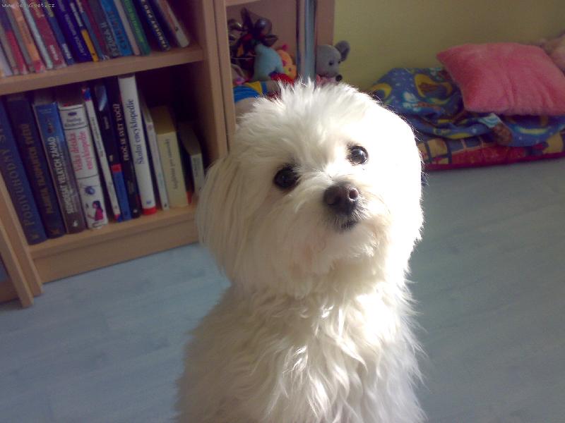 Foto: N� mil��ek Sindynka