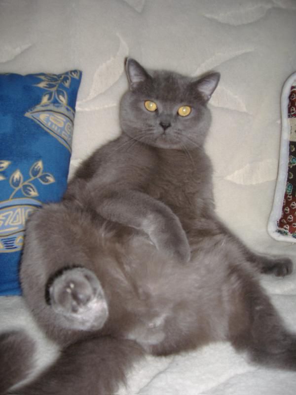 Foto: Bri��k-Osk�rek