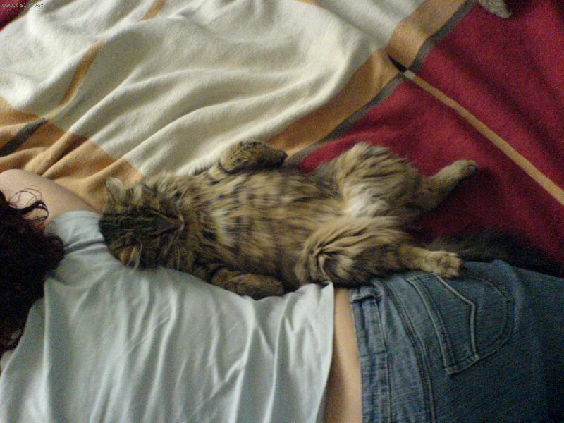 Foto: Sibi�sk�-Nejobl�ben�j�� �innost