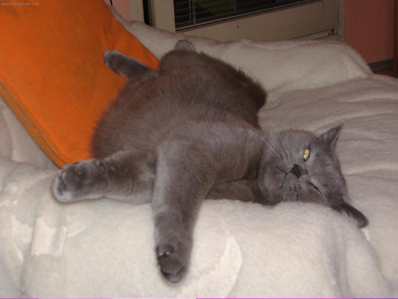 Foto: Bri��k-Osk�rek