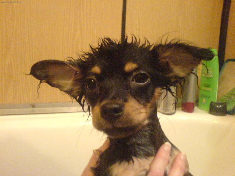 Foto: Kdy� se koupeme