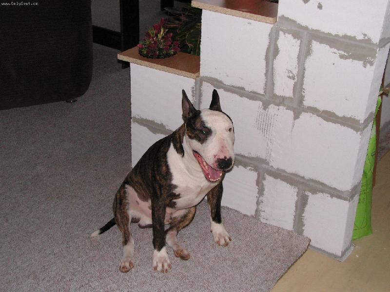 Foto: Danik-takhle se sm�ju