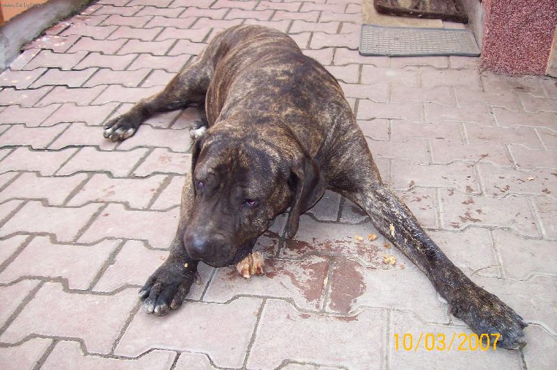 Foto: sarinka-pap�