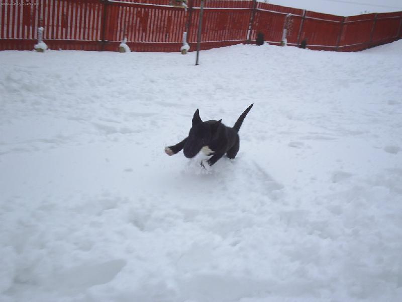 Foto: Ozzy-�ivot v pohybu