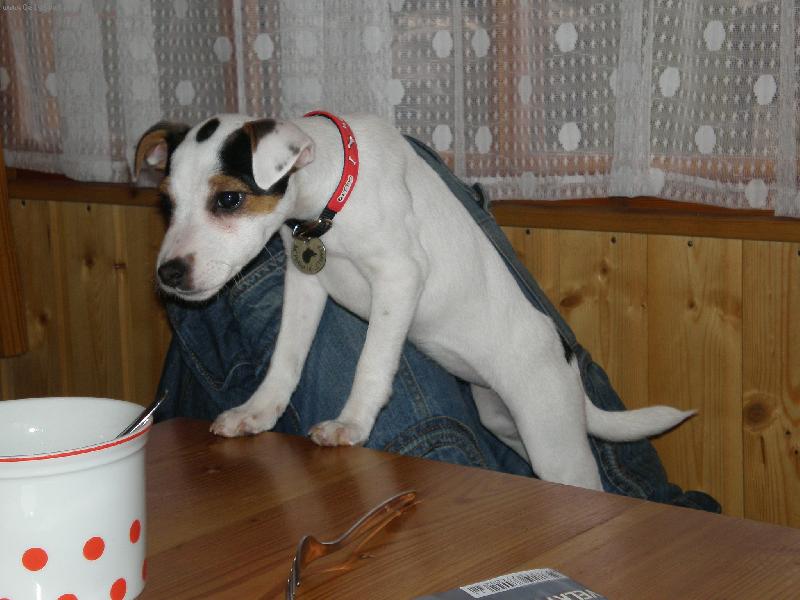 Foto: Agnes by si dala n�co dobr�ho