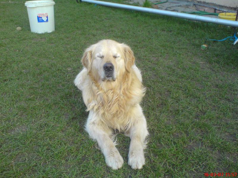 Foto: Max-Odpoledn� siesta