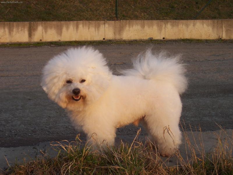 Foto: Andy z �erven�ch roklin