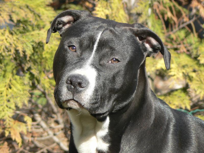 Foto: Arny 7.m�s�c�-Arny