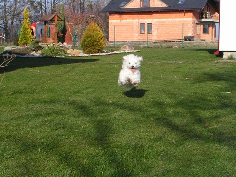 Foto: Mike�ek ze �ukova-a b��m������