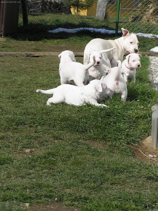 Foto: vrh D venku s Cloe