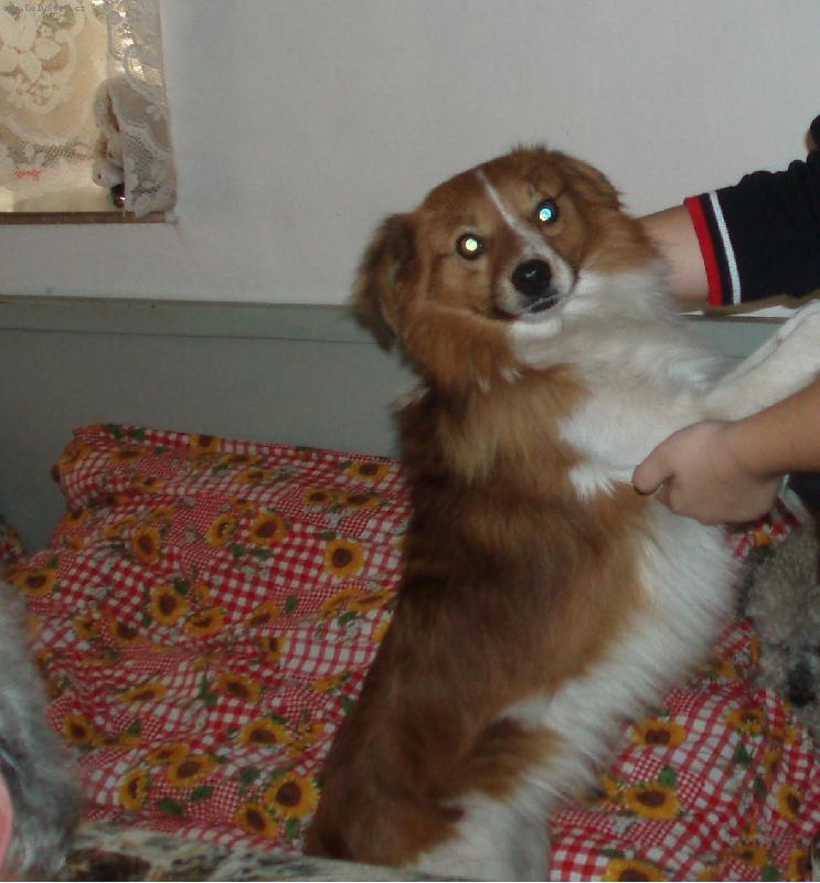 Foto: Likinek:-*-M�j Likine�ek