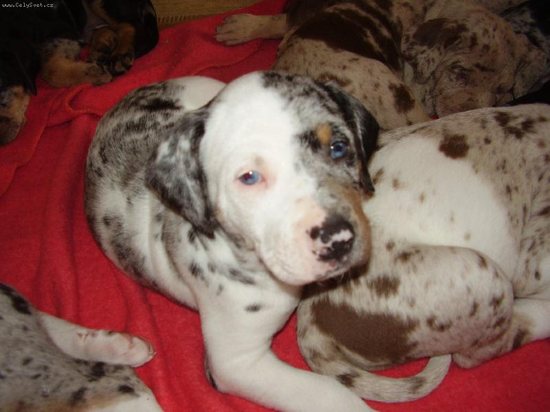 Foto: Arsinka LC-kuk�ny!! HAF