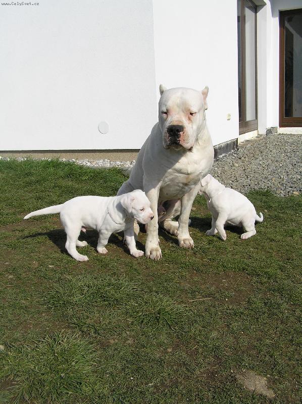 Foto: Ricardo CDLDV   vrh D