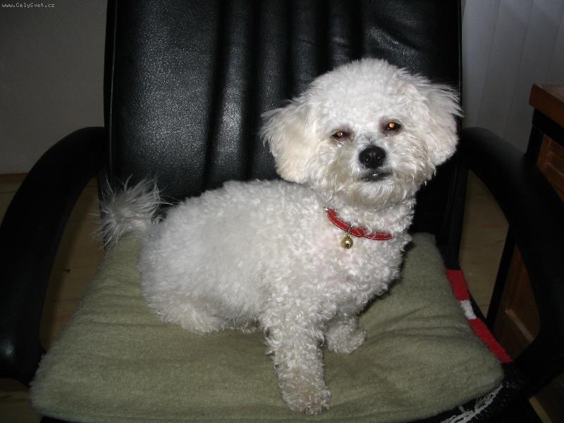 Foto: Tak tu �radujem 12 hod�n denne