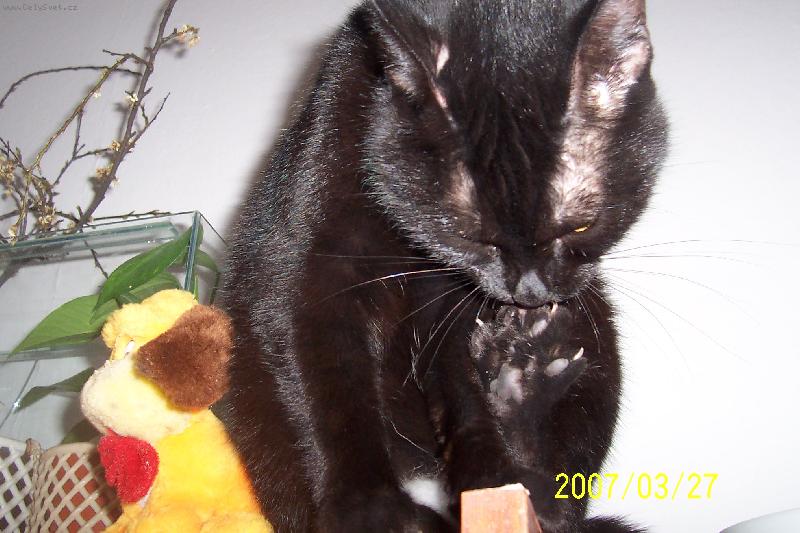 Foto: na�e Lucka-Hygiena