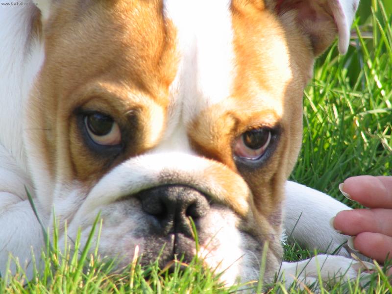 Foto: relax v tr�v�