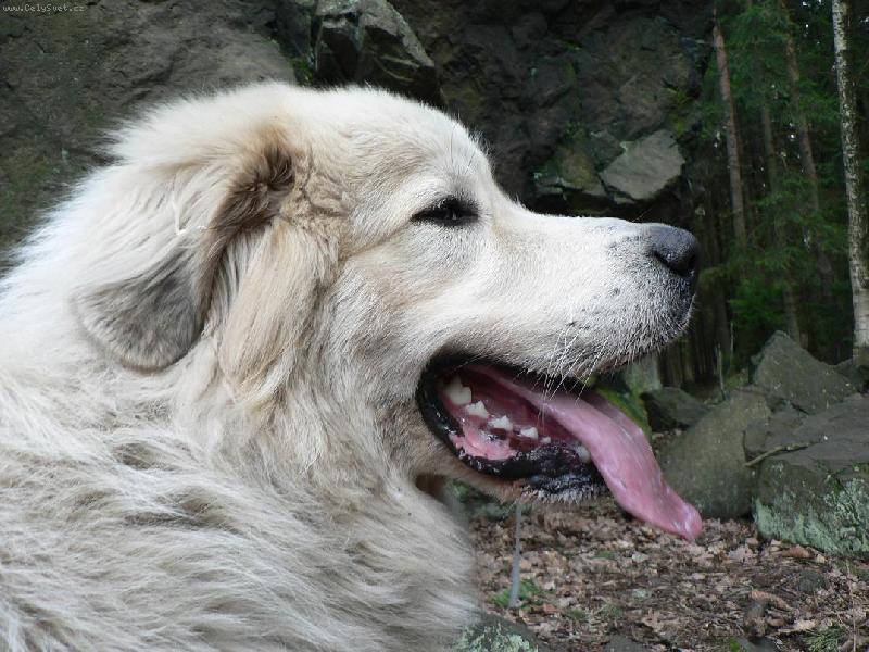 Foto: Lars-v�letn� radost:-)