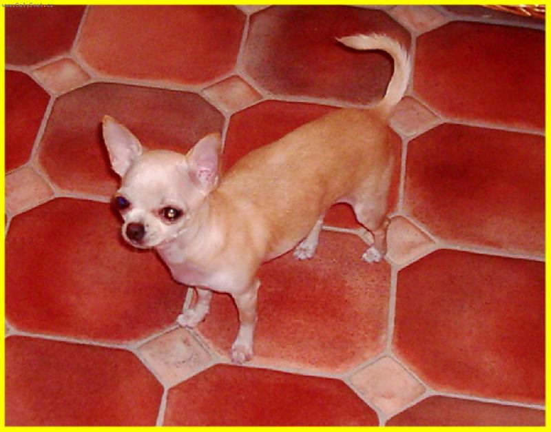 Foto: �ivavka-Gabi B�lpark