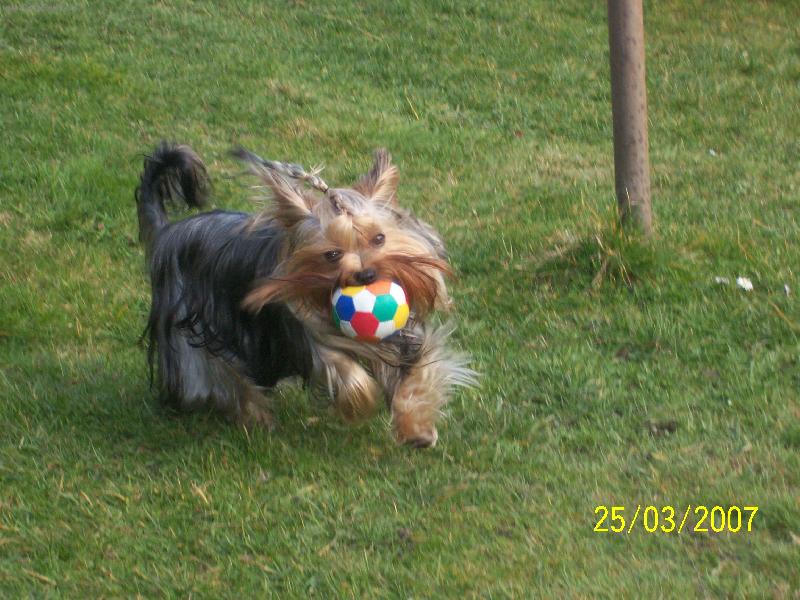 Foto: Bessy-www.jork-bessy.estranky.cz