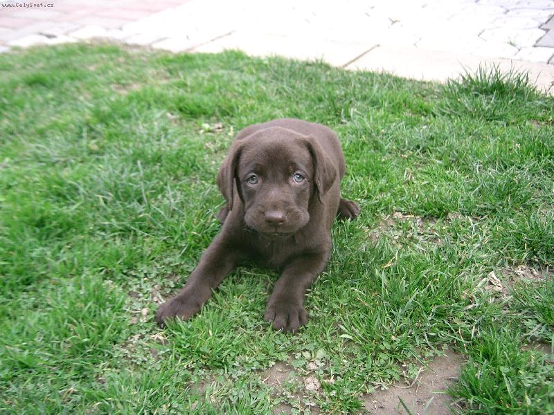 Foto: Jesy-a znova Jesy