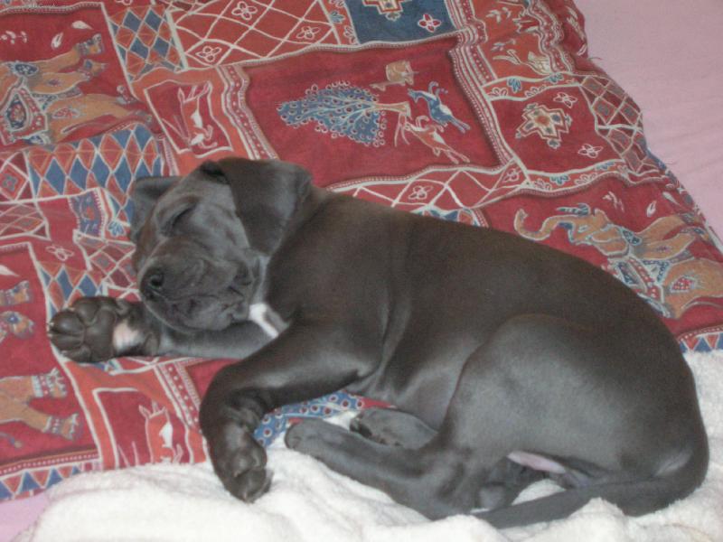 Foto: jsem n�jak� ospal�