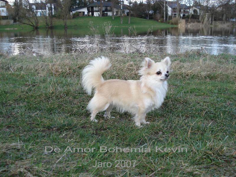 Foto: Na proch�zce u �eky