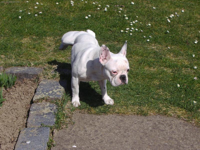 Foto: Mike-U� je ze m� chlap :-))