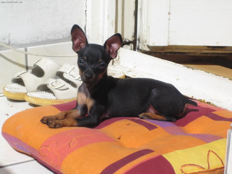 Foto: Zorinka-3,5 m�s�ce