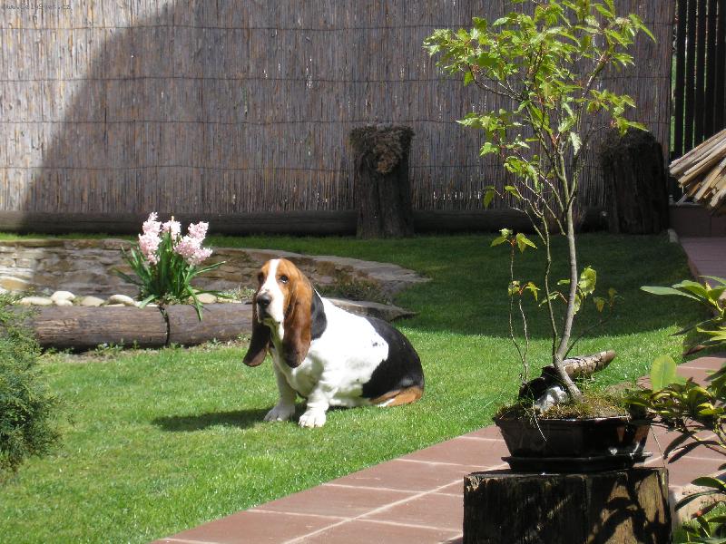 Foto: V�T�N� JARA