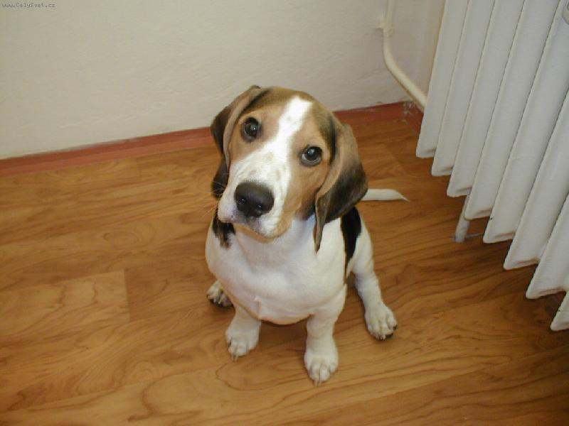 Foto: Jeff-tak takhle rostu :o)