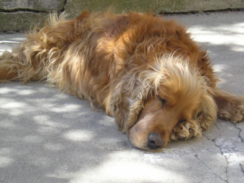 Foto: jesin-spink�