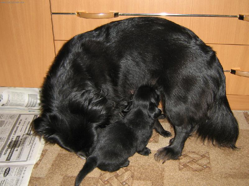 Foto: Lessia & son-Mama dai poesti