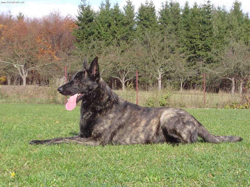 Foto: krasavec co?-krasavec,co??